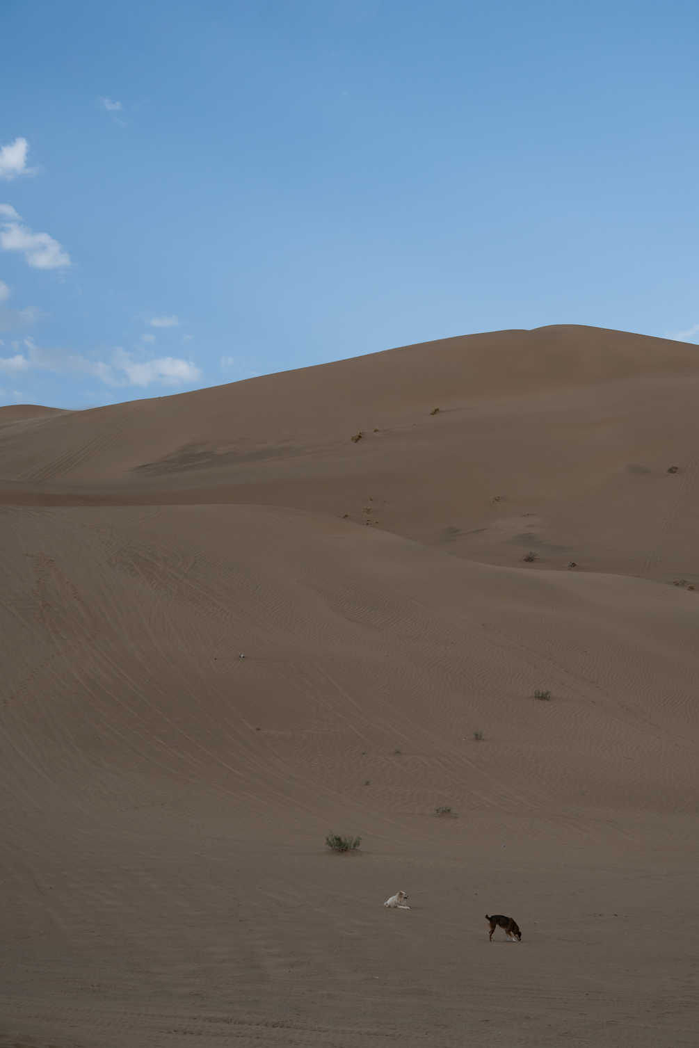 西北系列 DSC_1209